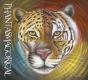 Phantasmagorical - Preview