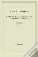 Phantasy, Image Consciousness, And Memory (1898-1925)