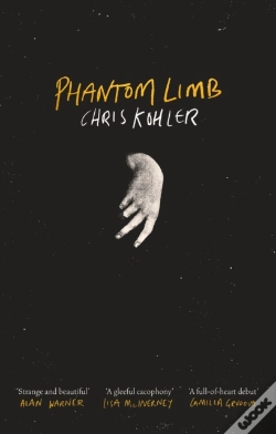 Capa do artigo Phantom Limb