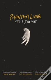 Capa do artigo Phantom Limb