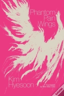 Capa do artigo Phantom Pain Wings