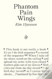 Capa do artigo Phantom Pain Wings