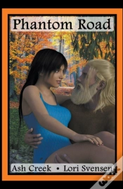 Capa do artigo Phantom Road