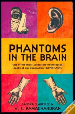 Capa do artigo Phantoms In The Brain