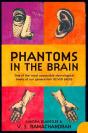 Phantoms In The Brain - Preview