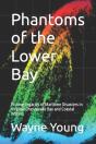 Phantoms Of The Lower Bay - Preview