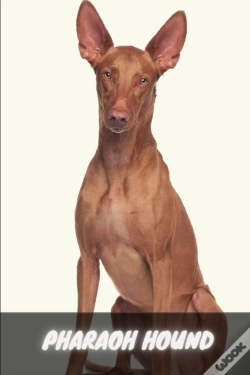Capa do artigo Pharaoh Hound