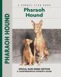 Pharaoh Hound - Preview