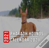 Pharaoh Hounds Calendar 2021