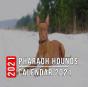 Pharaoh Hounds Calendar 2021 - Preview