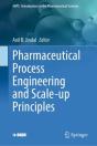 Pharmaceutical Process Engineering And Scale-Up Principles - Preview