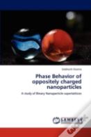 Phase Behavior Of Oppositely Charged Nanoparticles