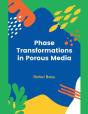 Phase Transformations In Porous Media - Preview