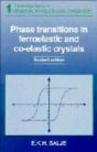 Phase Transitions In Ferroelastic And Co-Elastic Crystals - Preview