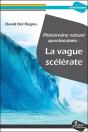 Phénomène Spectaculaire : La Vague Scélérate - Preview