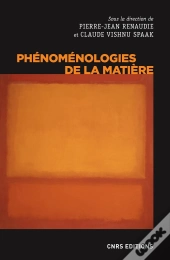 Phénoménologies De La Matière