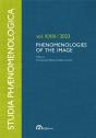 Phenomenologies Of The Image - Preview