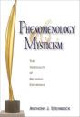 Phenomenology And Mysticism - Preview