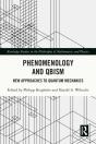 Phenomenology And Qbism - Preview