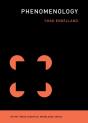 Phenomenology - Preview