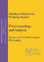 Phenomenology & Analysis - Preview