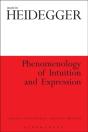 Phenomenology Of Intuition And Expression - Preview