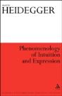 Phenomenology Of Intuition & Expression - Preview