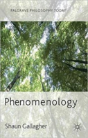 Phenomenology - Preview