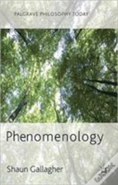 Phenomenology