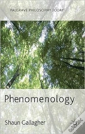 Capa do artigo Phenomenology