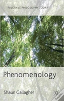 Capa do artigo Phenomenology