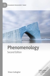 Phenomenology