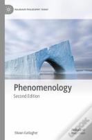 Phenomenology