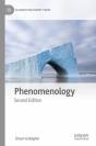 Phenomenology - Preview