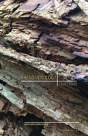 Phenomenology - Preview