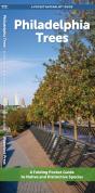 Philadelphia Trees - Preview