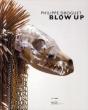 Philippe Droguet ; Blow Up - Preview