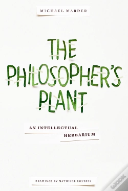 Capa do artigo Philosopher'S Plant