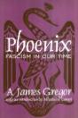 Phoenix - Preview