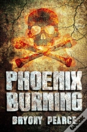 Capa do artigo Phoenix Burning