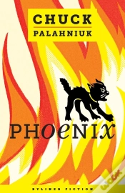 Capa do artigo Phoenix