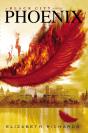 Phoenix - Preview