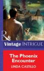 Phoenix Encounter - Preview