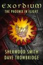 Phoenix In Flight - Preview