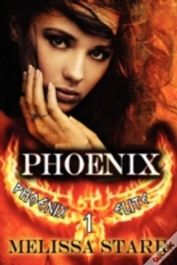 Capa do artigo Phoenix