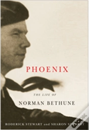 Capa do artigo Phoenix