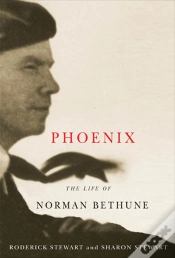 Capa do artigo Phoenix