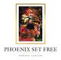 Phoenix Set Free - Preview