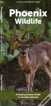 Capa do artigo Phoenix Wildlife