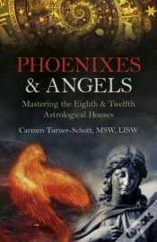 Capa do artigo Phoenixes & Angels